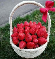 Корзина с клубникой «Ягодка моя»